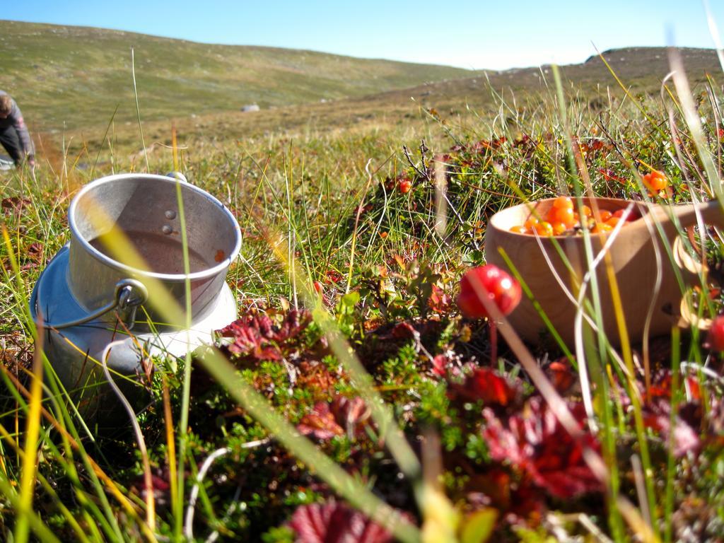 Norefjell - Storhytte Med Jacuzzi Og Fantastisk Beliggenhet Норесунд Экстерьер фото
